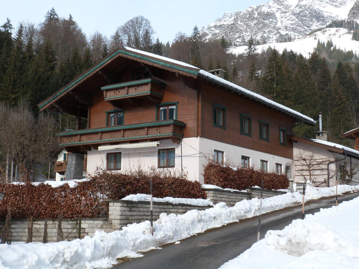 Premium Chalet Andrea Leogang Exterior foto